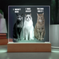 Acrylic Led lit Plaque of a Guilty Cat Trio Any time Gift for Cat Owners/lovers