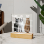 Acrylic Led lit Plaque of a Guilty Cat Trio Any time Gift for Cat Owners/lovers