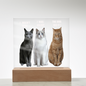 Acrylic Led lit Plaque of a Guilty Cat Trio Any time Gift for Cat Owners/lovers