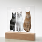 Acrylic Led lit Plaque of a Guilty Cat Trio Any time Gift for Cat Owners/lovers