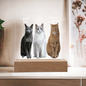 Acrylic Led lit Plaque of a Guilty Cat Trio Any time Gift for Cat Owners/lovers