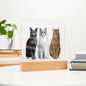 Acrylic Led lit Plaque of a Guilty Cat Trio Any time Gift for Cat Owners/lovers