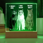 Acrylic Led lit Plaque of a Guilty Cat Trio Any time Gift for Cat Owners/lovers
