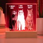Acrylic Led lit Plaque of a Guilty Cat Trio Any time Gift for Cat Owners/lovers