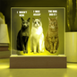 Acrylic Led lit Plaque of a Guilty Cat Trio Any time Gift for Cat Owners/lovers