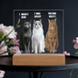 Acrylic Led lit Plaque of a Guilty Cat Trio Any time Gift for Cat Owners/lovers